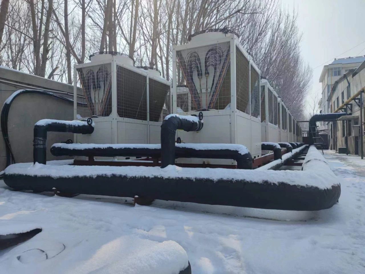 10万平米养殖场采用贝博空气能供暖效果怎么样?