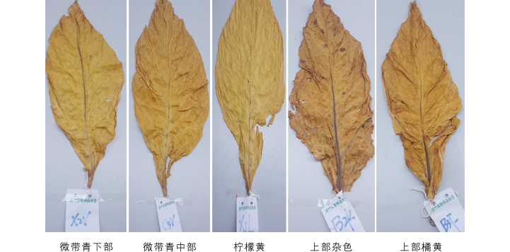 贝博空气能热泵高温烘干机故障维修