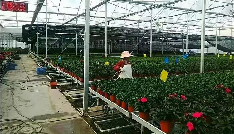 种植养殖恒温热泵应用 种植养殖恒温热泵应用