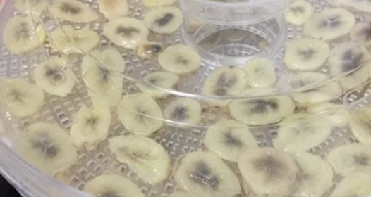 水果烘干机怎么做果干,水果烘干机哪个品牌好? 水果烘干机怎么做果干,水果烘干机哪个品牌好?